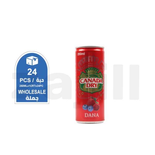 Canada Dry Dana Drink 250Ml