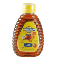 Golden Glory Honey B/Hive 312Gm